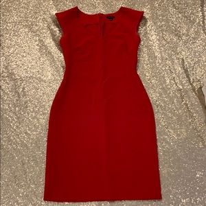 Ann Taylor Fitted Sleeveless Dress